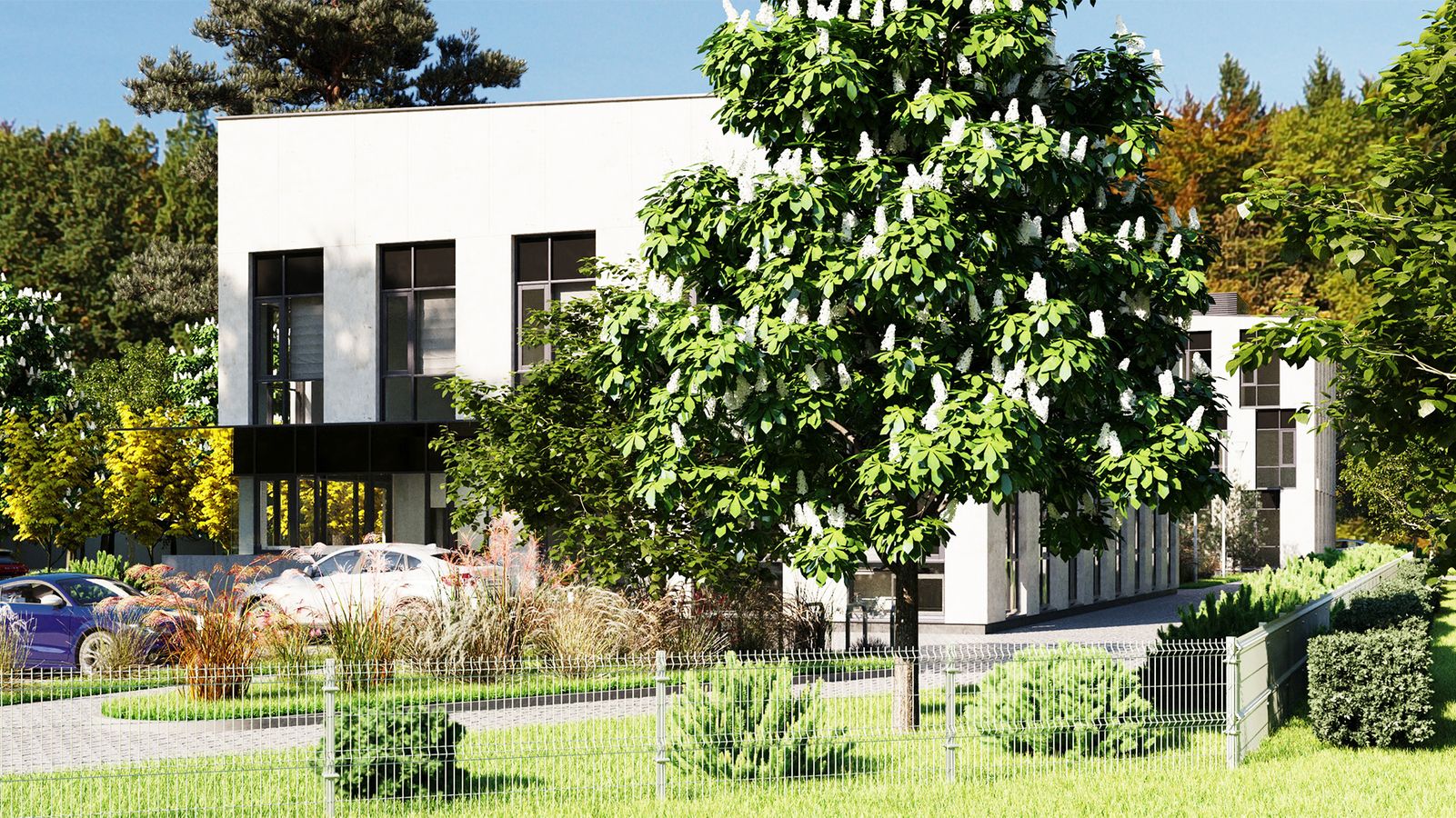 the image of the Klinika Vilniuje project